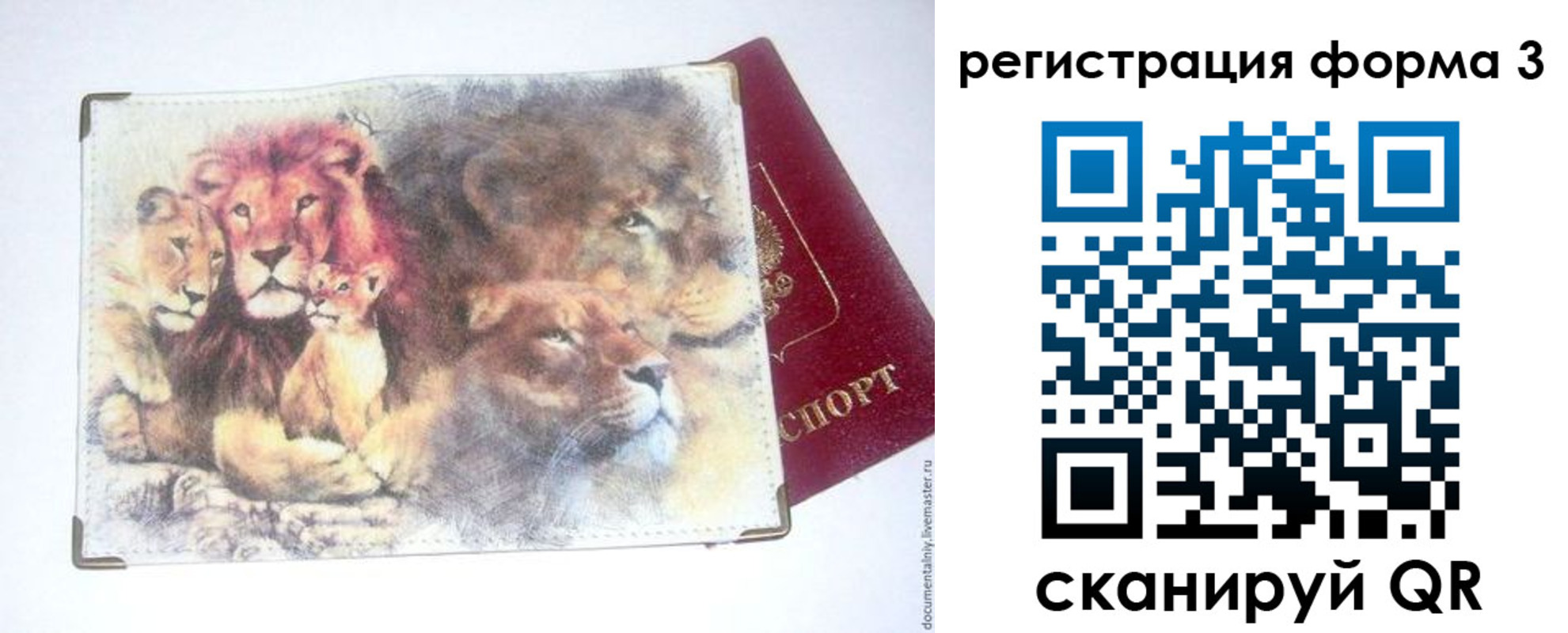 прописка в квартире в Псковской области